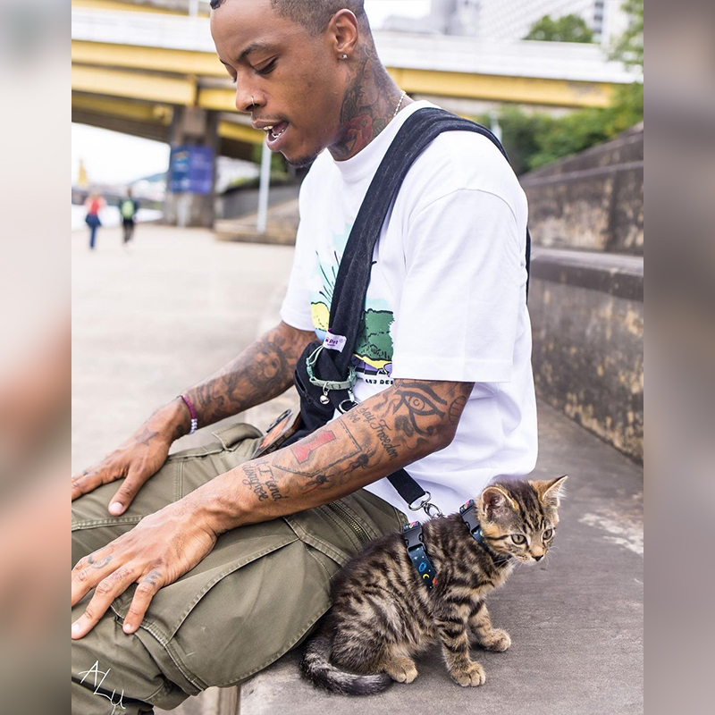 When a man discovers a “Pocket Princess” kitten on the street, her life undergoes a remarkable transformation