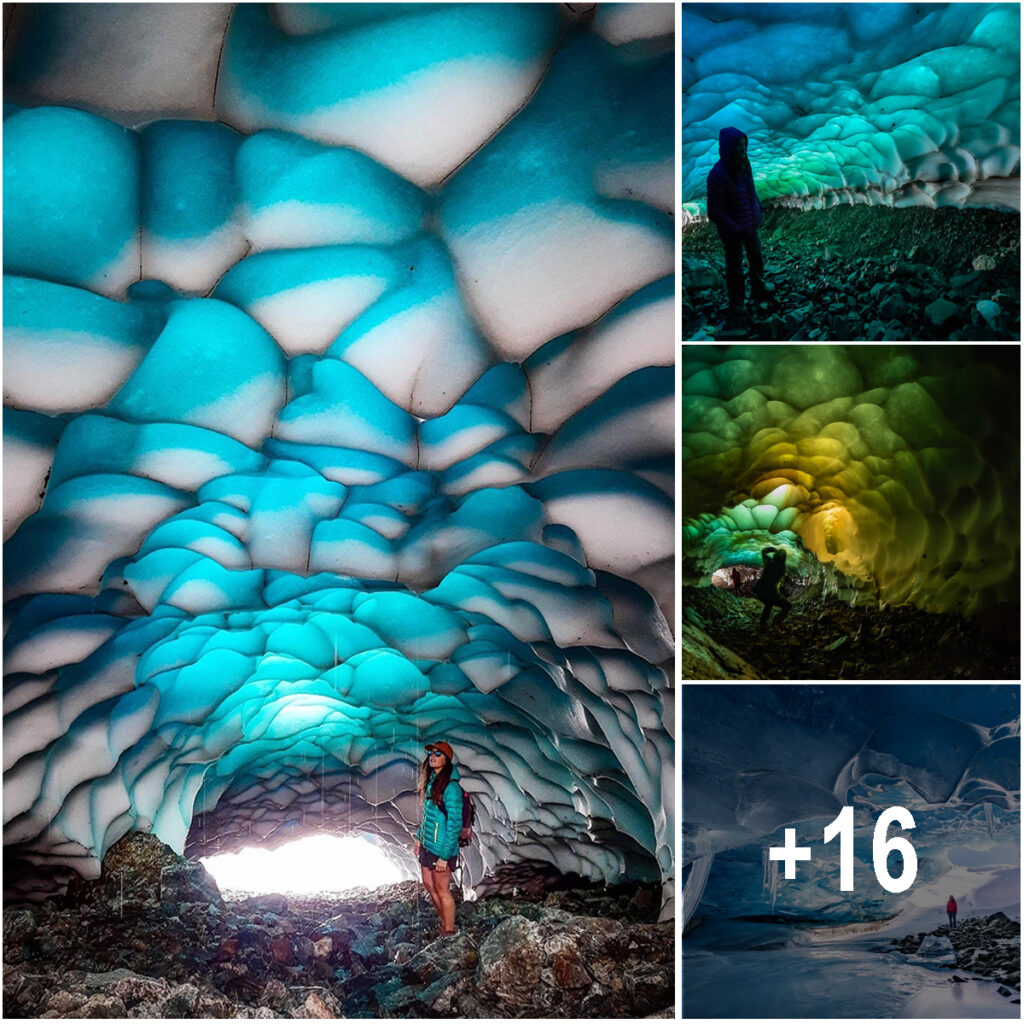 Discovering the Enchanting Ice Caves of Patagonia