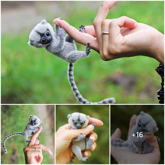 Adorable Finger Monkeys: Meet the Smallest Primates in the World