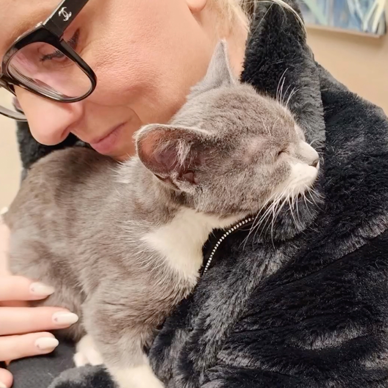Before his family realized he was a Haven-Sent Angel, the shelter nearly released the “mean” cat
