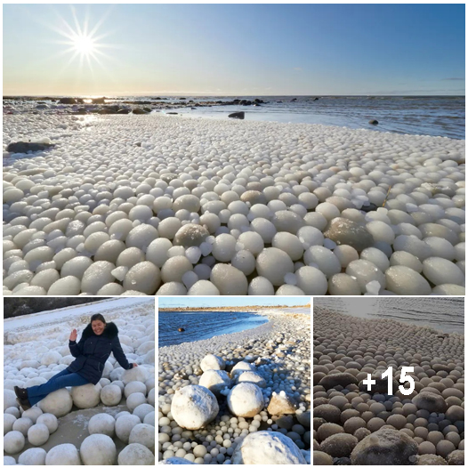 Thousands of Rare ‘Ice Eggs’ Discovered on a Finnish Beach