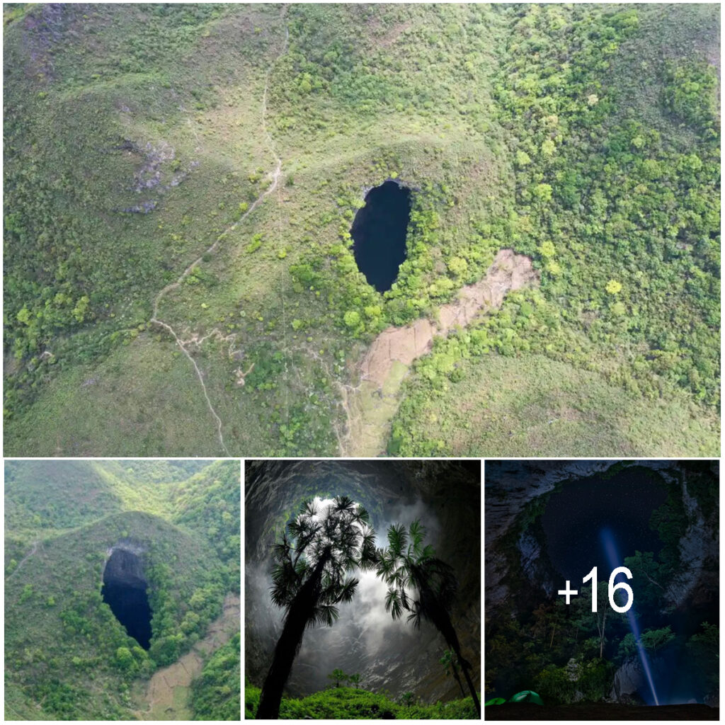 In a groundbreaking discovery, scientists have uncovered a giant sinkhole that reveals a primeval ‘lost world’ hidden within its depths.