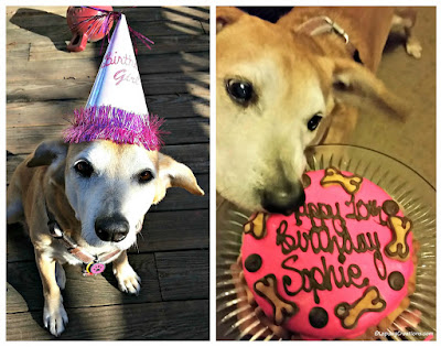 Sophie’s Spectacular 11th Birthday Bash!