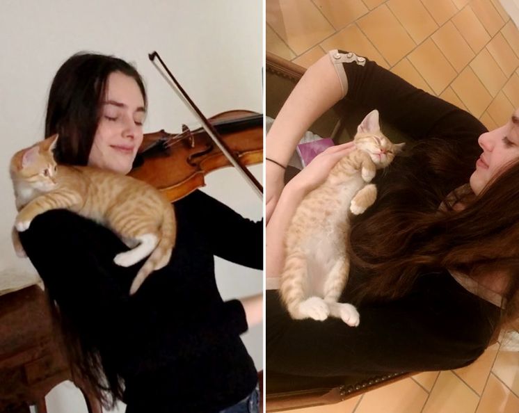 Kitten Finds Its Way to Violinist and Becomes Her Most Adorable Audience.