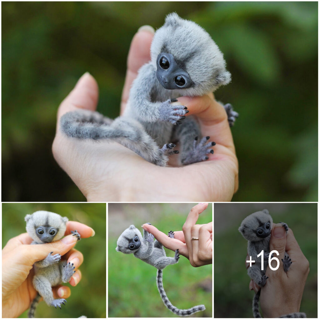 Adorable Finger Monkeys: Meet the Smallest Primates in the World