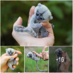 Adorable Finger Monkeys: Meet the Smallest Primates in the World