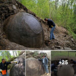 Mysterious Stone Spheres Uncovered: Revealing 300+