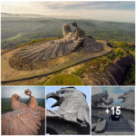 Artist Dedicates a Decade to Crafting World’s Tallest Bird Sculpture (200ft)