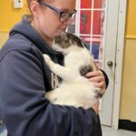 A Couple Went to the Shelter for One Cat