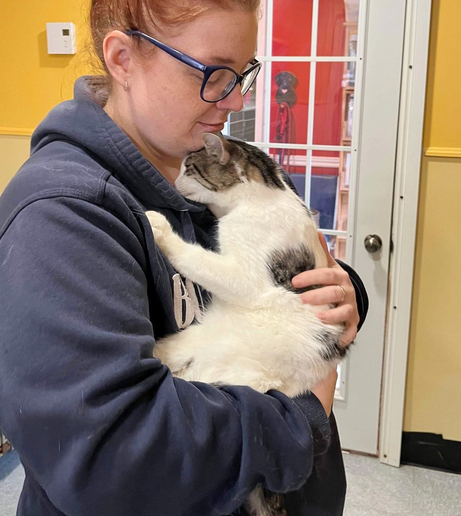 A Couple Went to the Shelter for One Cat