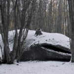 People discovered a giant whale stranded in the Argentine forest.