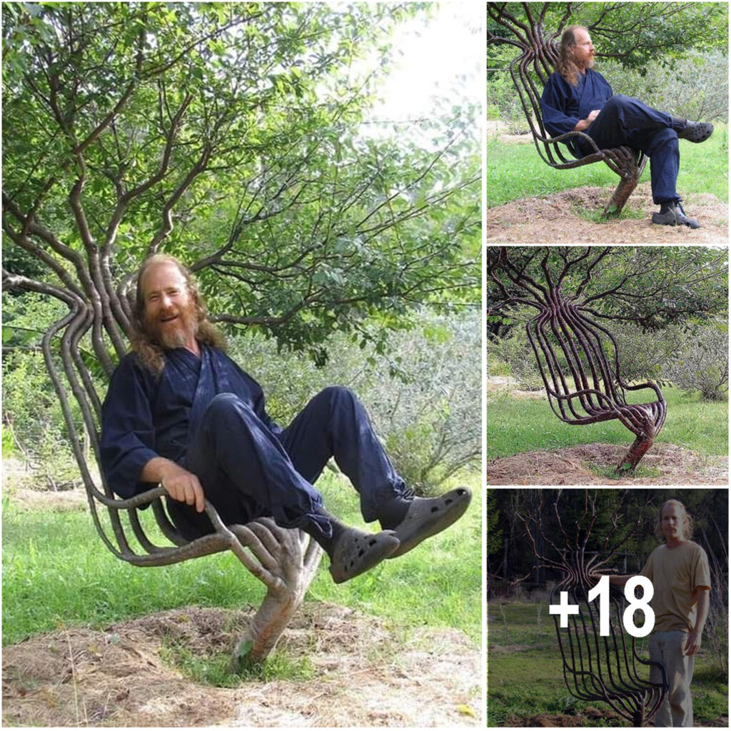 The artist created a creative tree chair