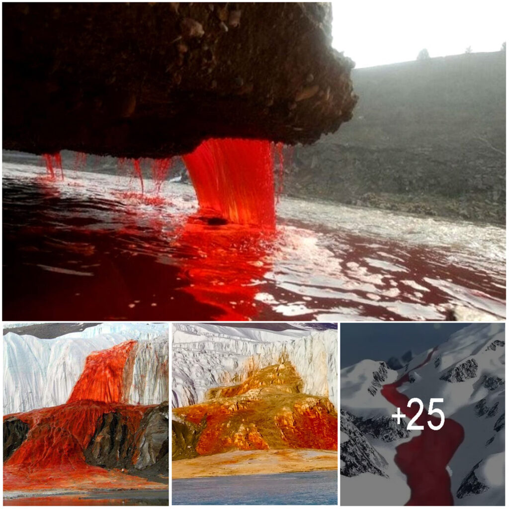 Scientist has decoded the mystery of Blood Falls inside Taylor Glacier