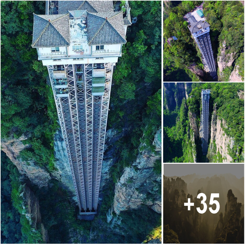 Are these photos of the world’s scariest elevator?