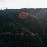 Giant Smiley Face on Oregon Hillside Composed of Trees