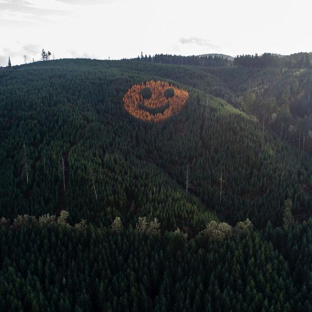 Giant Smiley Face on Oregon Hillside Composed of Trees