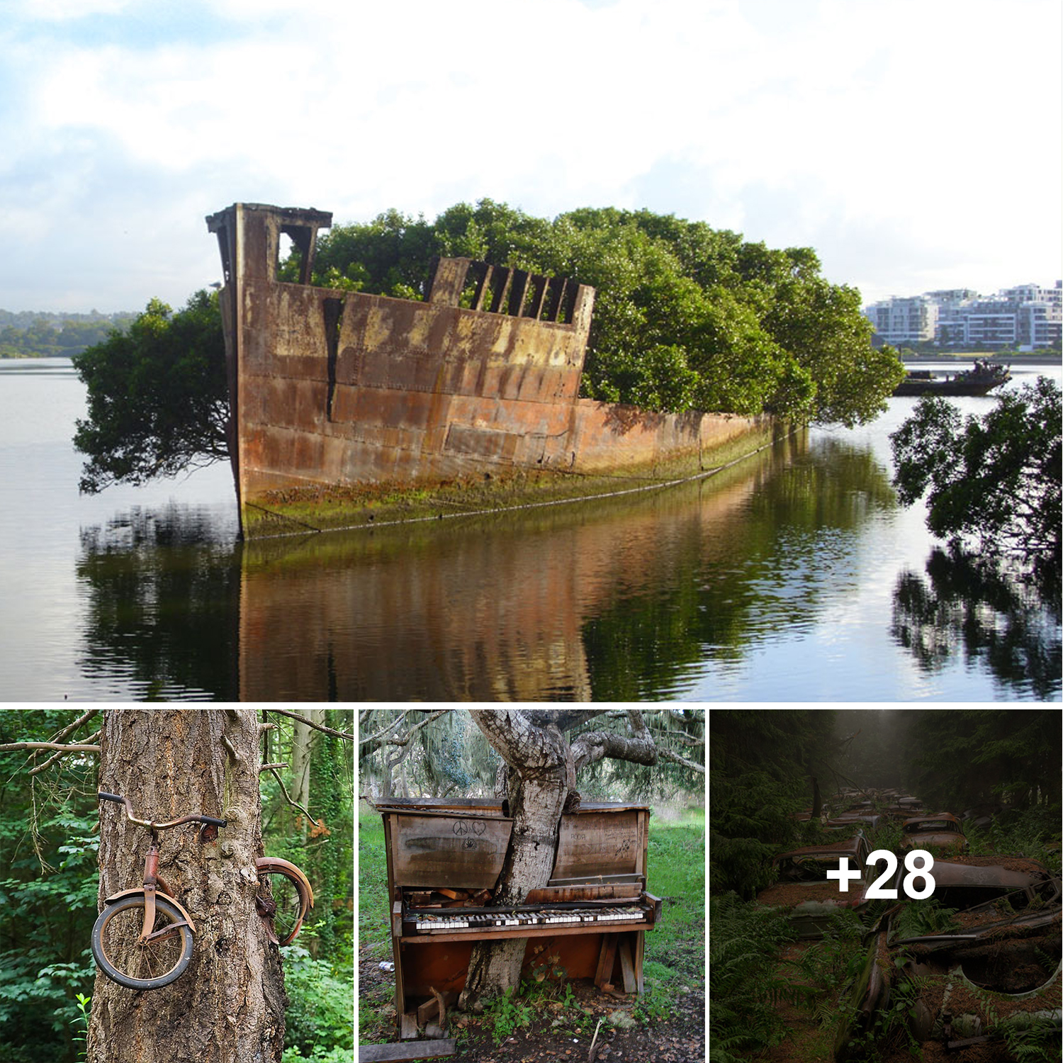 Nature’s Resurgence: Inspiring Photos Capturing Its Triumph Over Civilization’s Reach