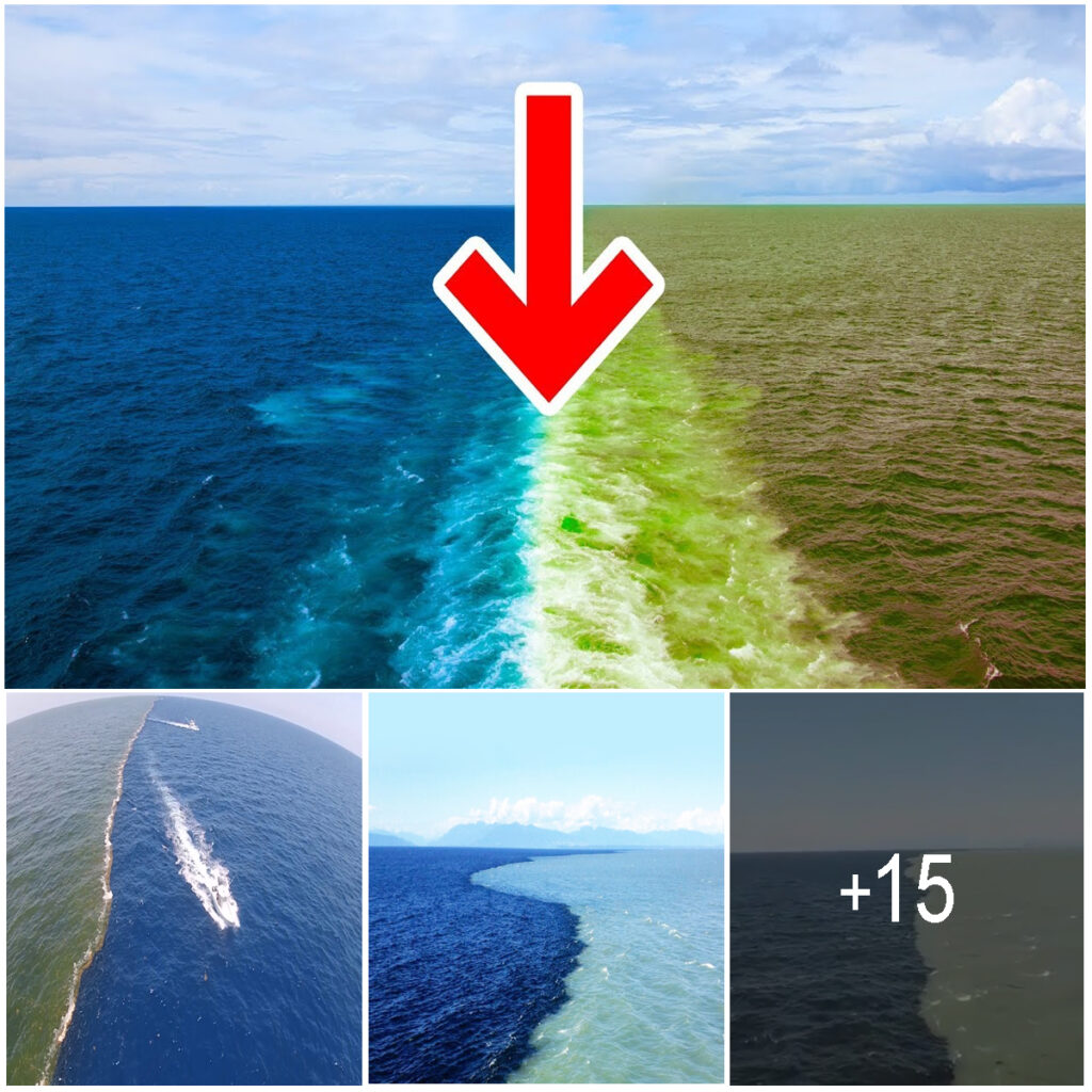 How about: “The Mystifying Divide: Why the Atlantic and Pacific Oceans Remain Separate”?