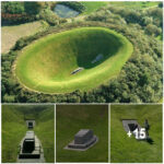 Unraveling the Enigma of Ireland’s Sky Garden: Delving into Legends