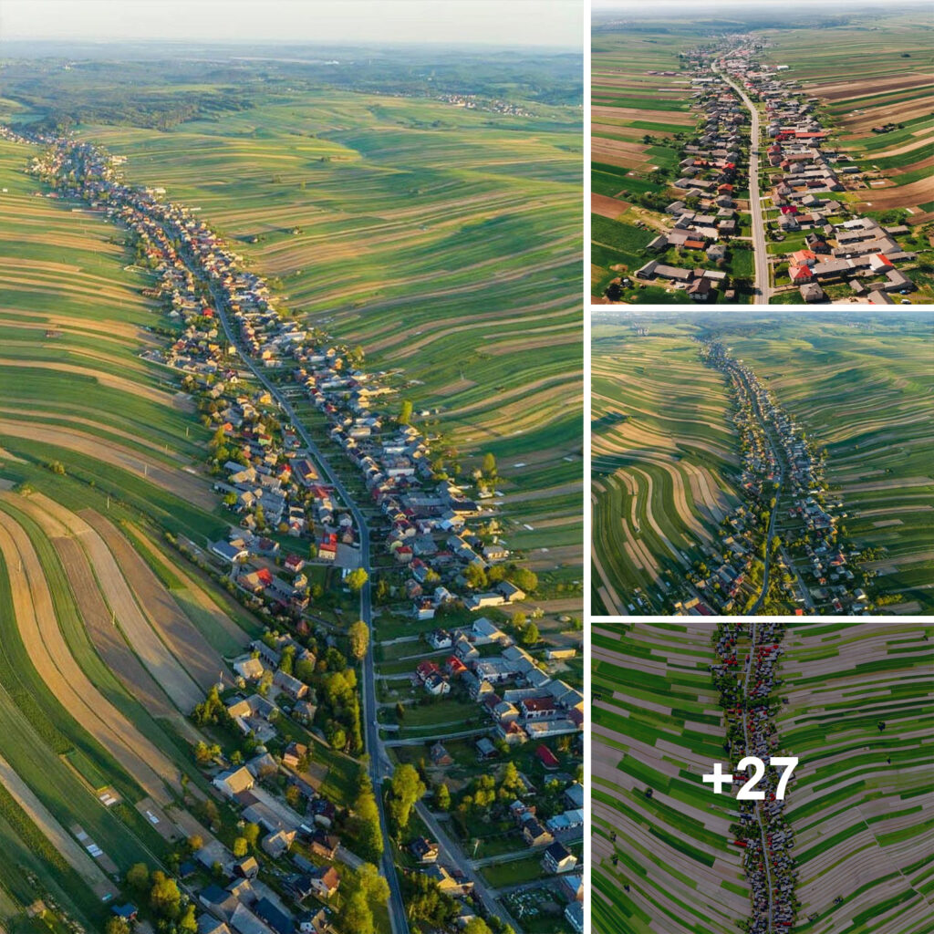 The Charming Polish Village Where All 6,000 Residents Live on One Street