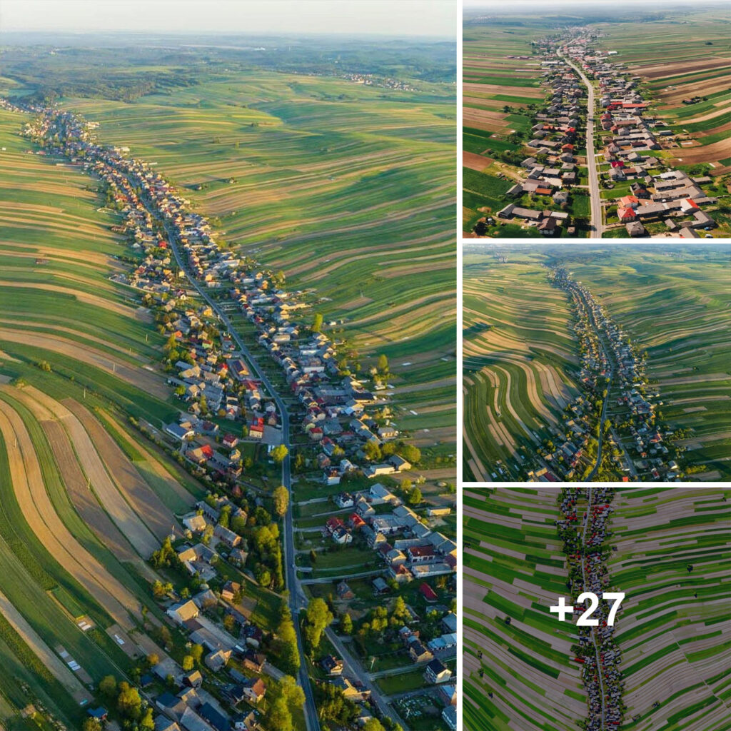 The Charming Polish Village Where All 6,000 Residents Live on the Same Street