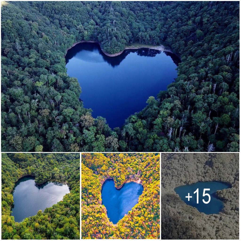 Toyoni – Japan’s Lake Shaped Naturally Like a Heart