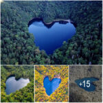 Toyoni – Japan’s Lake Shaped Naturally Like a Heart