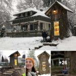 Woman Turned 110-Year-Old Dead Tree Into A Free Little Library