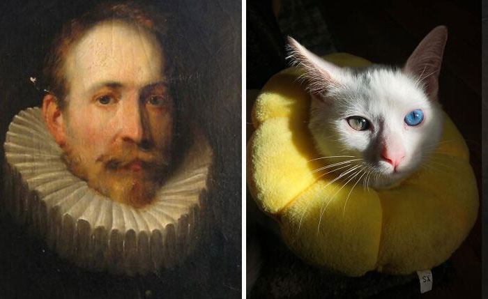 30 Times People Spotted ‘Accidental Renaissance Cats’ and Just Had to Share the Pics