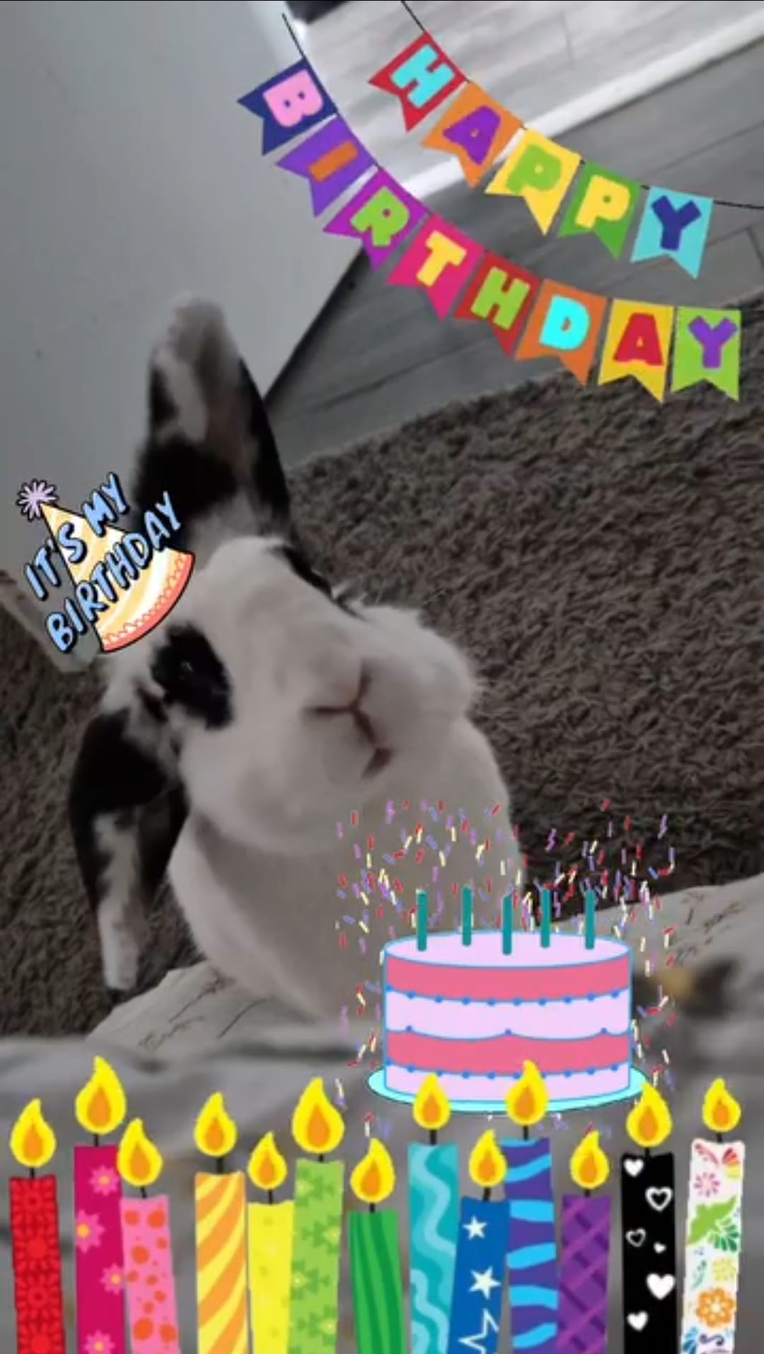 Big Hoppy 7th Birthday to my girl Anna