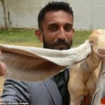 He Truly Is the GOAT! Simba the Baby Goat, Born with 19-Inch Ears