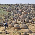 The astonishing discovery of globes estimated to be about 150 million years old.