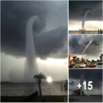 Stunning Waterspout in Florida’s Tampa Bay Captured on Camera as It Makes Landfall