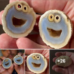 Unbelievably Rare Agate Rock Resembles Cookie Monster from Sesame Street Perfectly