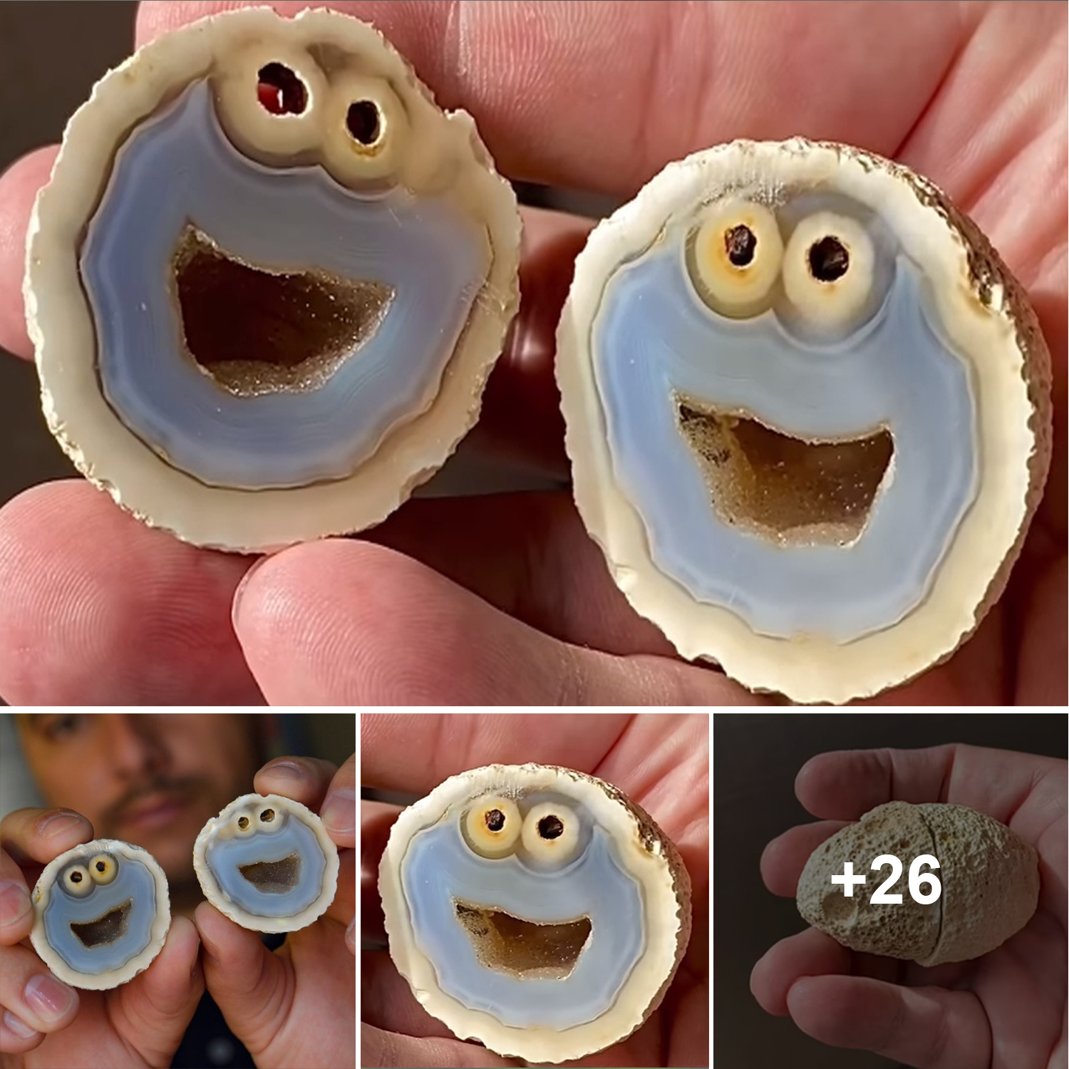 Unbelievably Rare Agate Rock Resembles Cookie Monster from Sesame Street Perfectly