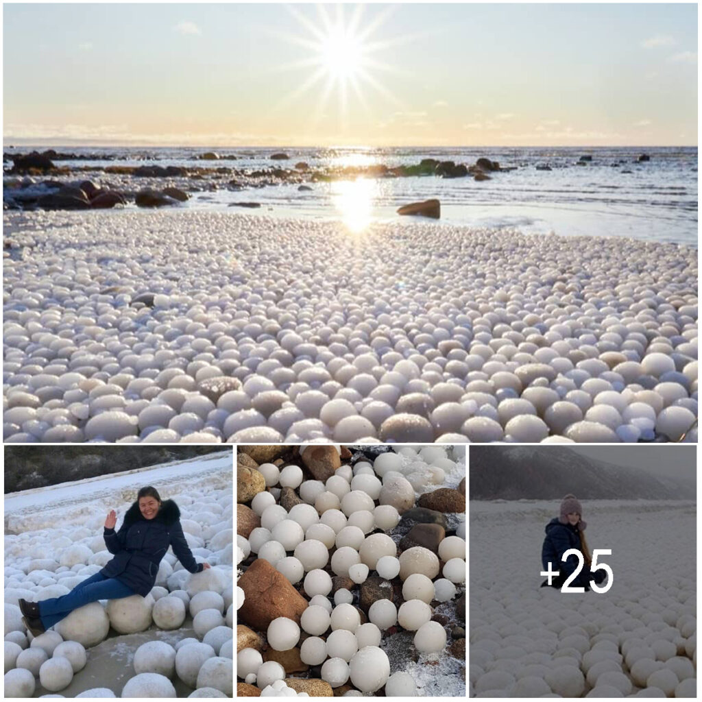 Unique and Stunning: Thousands of ‘Ice Eggs’ Discovered on Finnish Beach