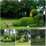 So Cute! The Artist Ingeniously Turns Foliage into Sleepy Baby Birds