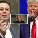 Elon Musk and Donald Trump Vow To Release Epstein Client List: “One of Them Should Go Down”