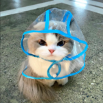 Cute Cat in a Raincoat: A Fluffy Buddy Prepped for the Weather!