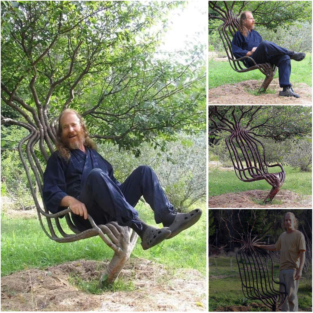 Artist Takes 8 Years to Craft This Stunning Tree Chair