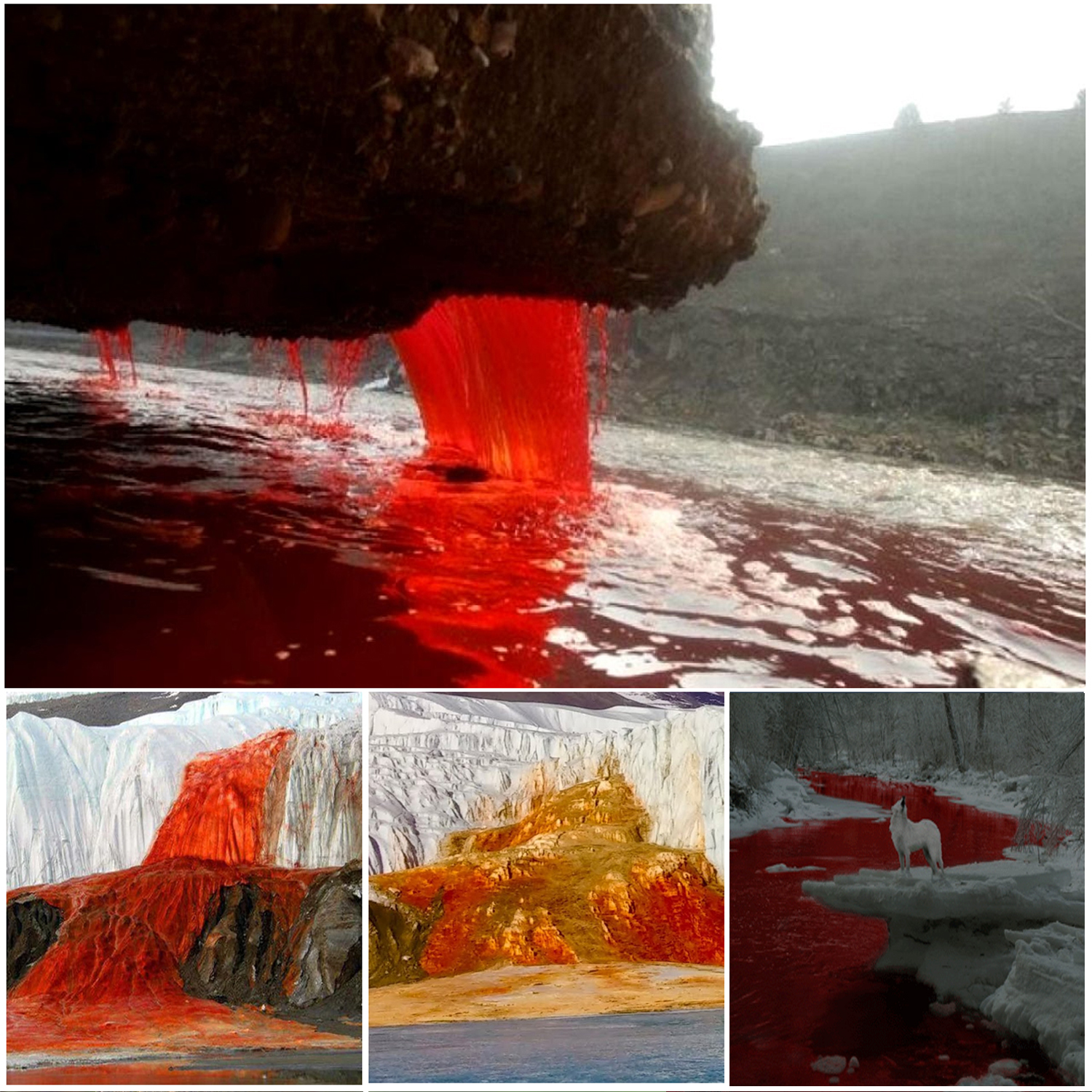 Blood Falls: 106-Year-Old Antarctic Mystery Finally Solved by Science