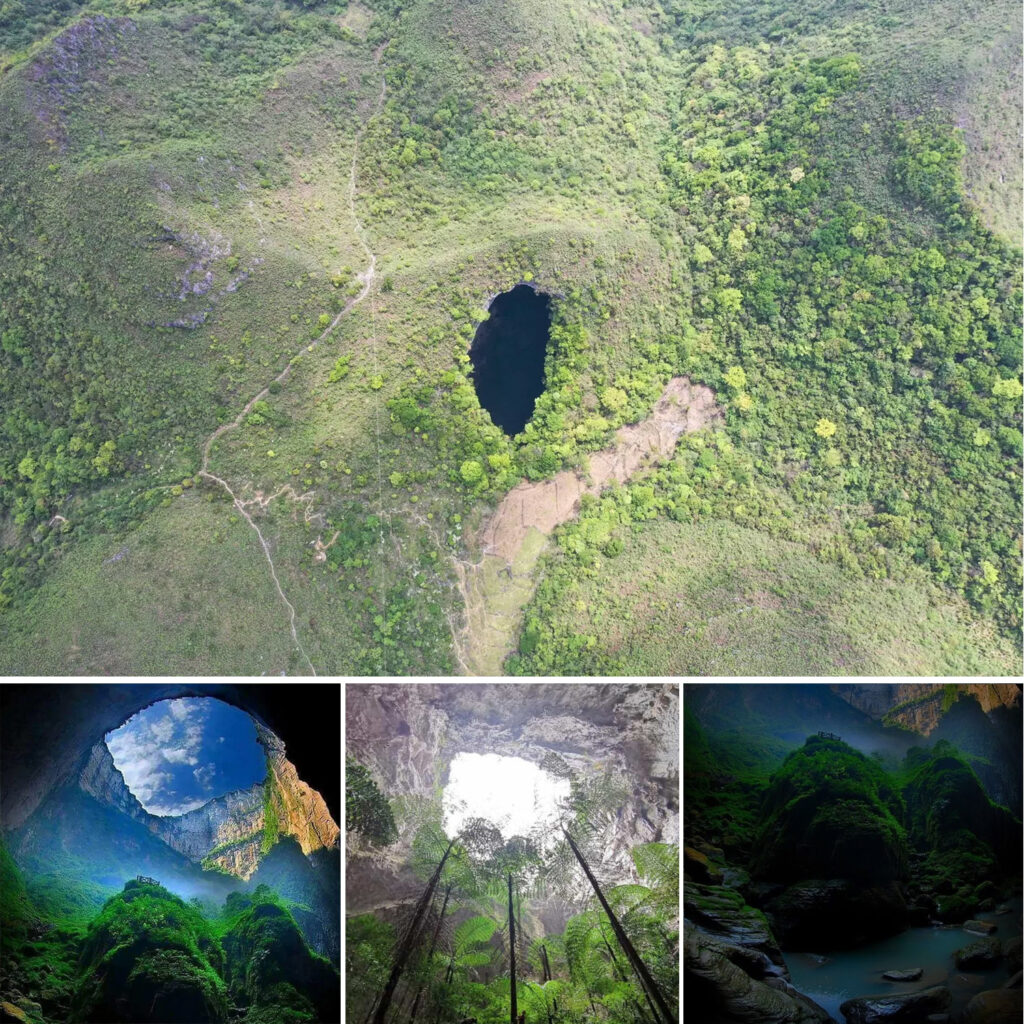 Exploring a colossal sinkhole with an ancient forest that could harbor undiscovered species.