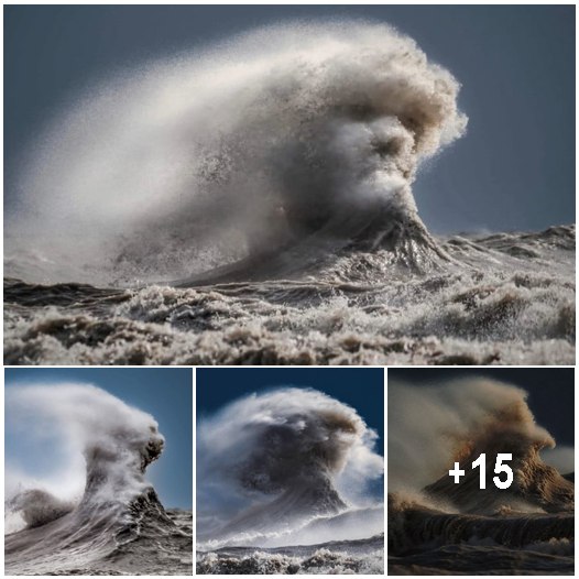 Nature Photographer Snaps Stunning Image of a Crashing Wave That Resembles a Human Face