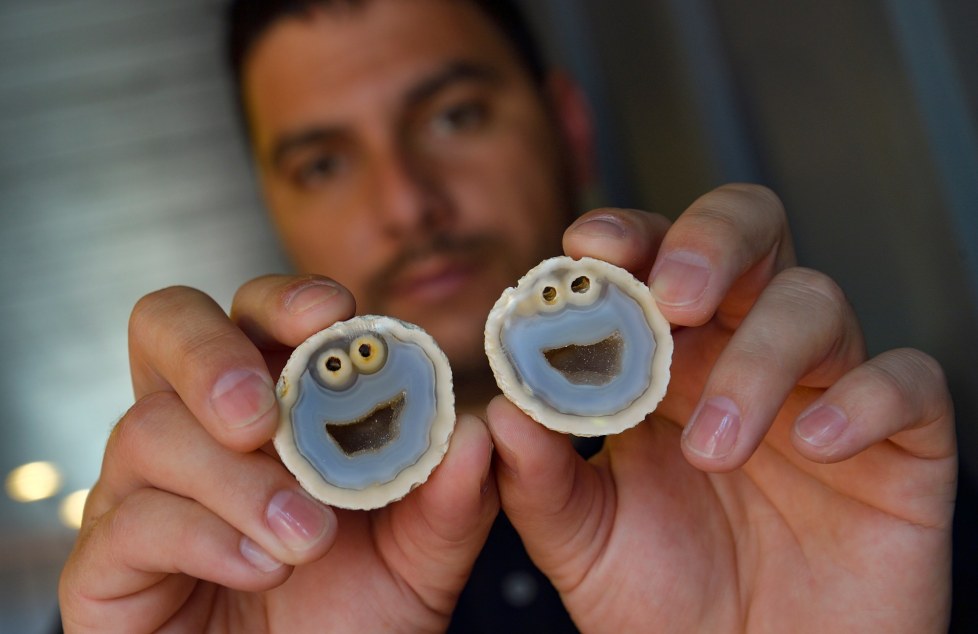 Incredibly Rare Agate Rock Resembles Cookie Monster from Sesame Street