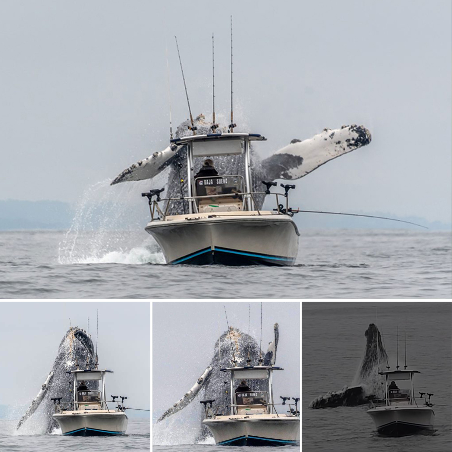 Once-in-a-Lifetime Footage Captures a Massive Humpback Whale Breaching Next to a Fishing Boat