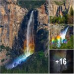 Photographer Captures Stunning Rare Rainbow Waterfall Event in Yosemite