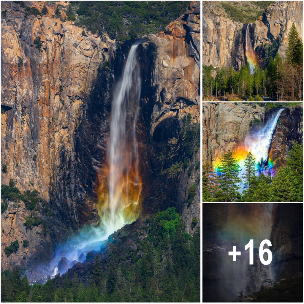 Photographer Captures Stunning Rare Rainbow Waterfall Event in Yosemite