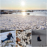 Stunning and Uncommon: Thousands of ‘Ice Eggs’ Found on Finnish Shoreline