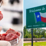 Texas Officially Bans the Sale of Lab-Grown Meat: “It’s Printed Meat”