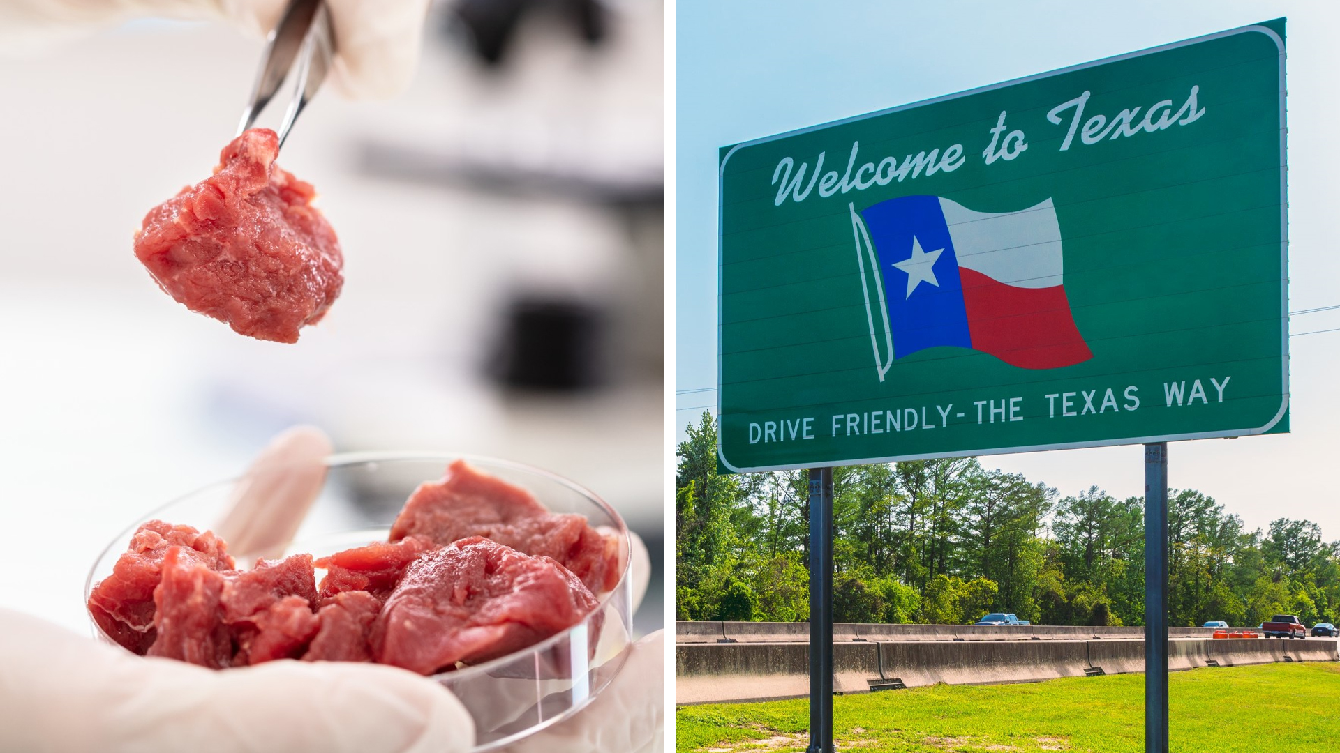 Texas Officially Bans the Sale of Lab-Grown Meat: “It’s Printed Meat”